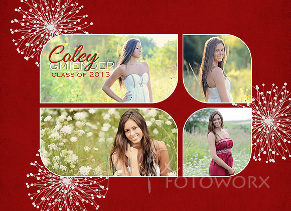 coley 3